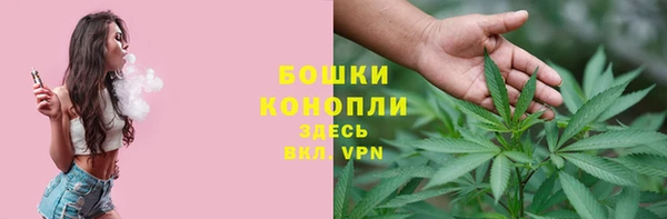 МДПВ Медвежьегорск
