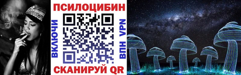 Купить где Белгород Галлюциногенные грибы Magic Shrooms